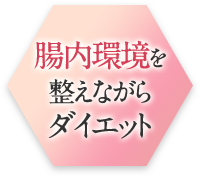 腸内環境を整えながらダイエット